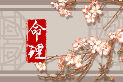 命盘排盘免费_测算紫微命盘_命盘八字五行_紫薇斗术排盘免费_命盘